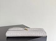 Bottega Veneta Andiamo Clutch Ostrich Leather 02 - 3