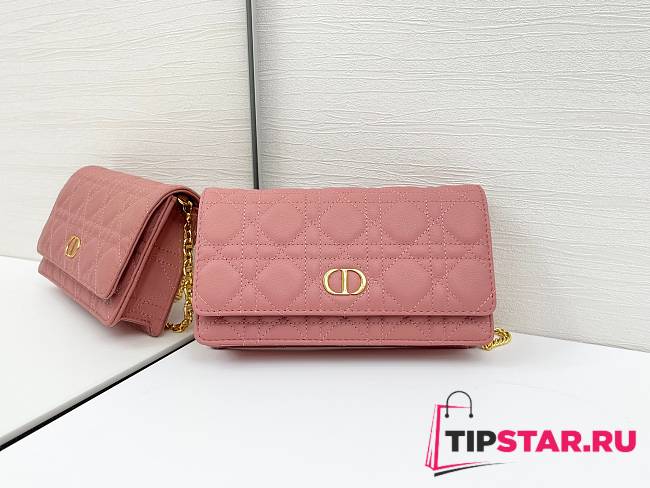Dior Caro Pouch with Chain In Pink - 1