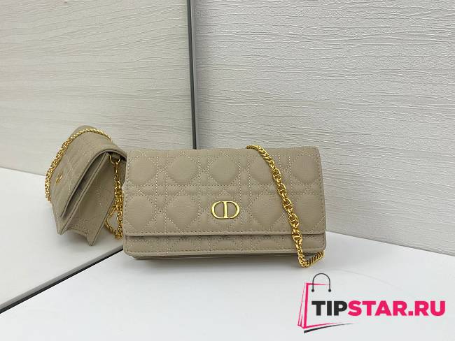 Dior Caro Pouch with Chain In Beige - 1