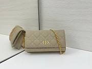 Dior Caro Pouch with Chain In Beige - 1