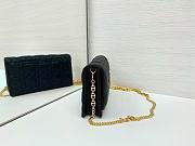 Dior Caro Pouch with Chain In Black - 4