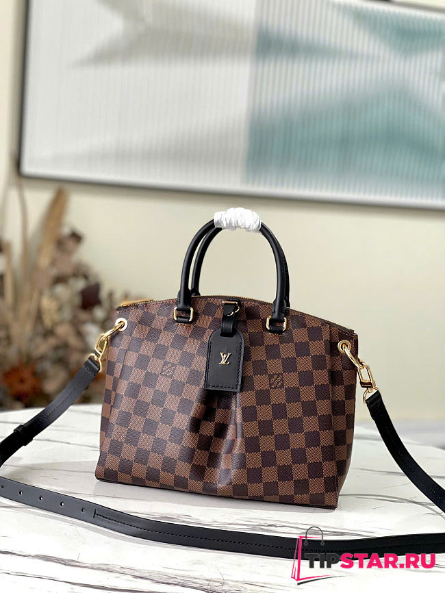 Louis Vuitton Odeon Tote PM in Damier Ebene canvas - 1