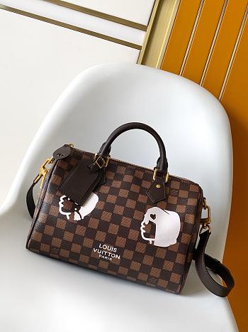 Louis Vuitton Damier Speedy 25 Bandoulière N40772