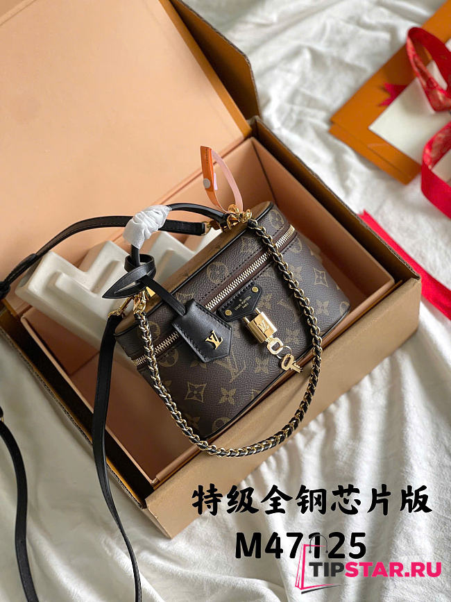 Louis Vuitton Vanity Chain Pouch Monogram Reverse Canvas M47125 - 1