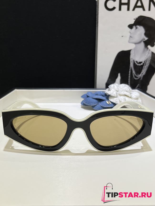Chanel Panda-themed sunglasses brown CH6056 - 1