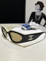 Chanel Panda-themed sunglasses brown CH6056 - 2