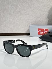 Rayban Sunglasses RB 2228 - 2
