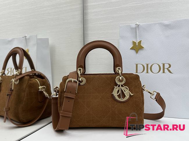 Dior Lady Soft Bag In Brown Suede - 1