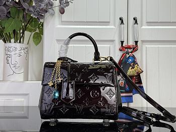 Louis Vuitton Cluny Mini Varnished cowhide leather Datewood