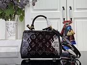 Louis Vuitton Cluny Mini Varnished cowhide leather Datewood - 3