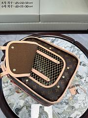 Louis Vuitton Pet Carrier Bag 01 - 5