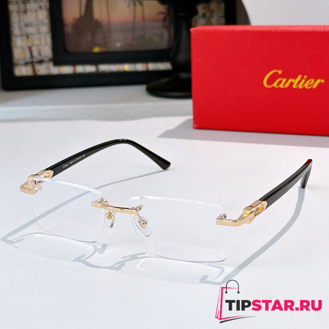 Cartier Sunglasses CT0582S - 1