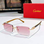 Cartier Sunglasses CT0582S - 6