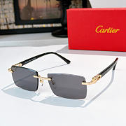 Cartier Sunglasses CT0582S - 5