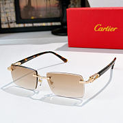 Cartier Sunglasses CT0582S - 3