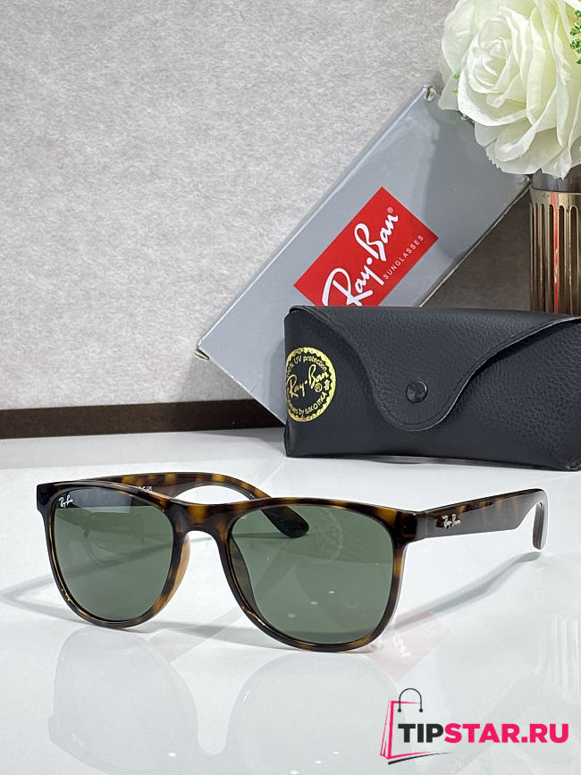 Rayban Sunglasses RB4412 - 1