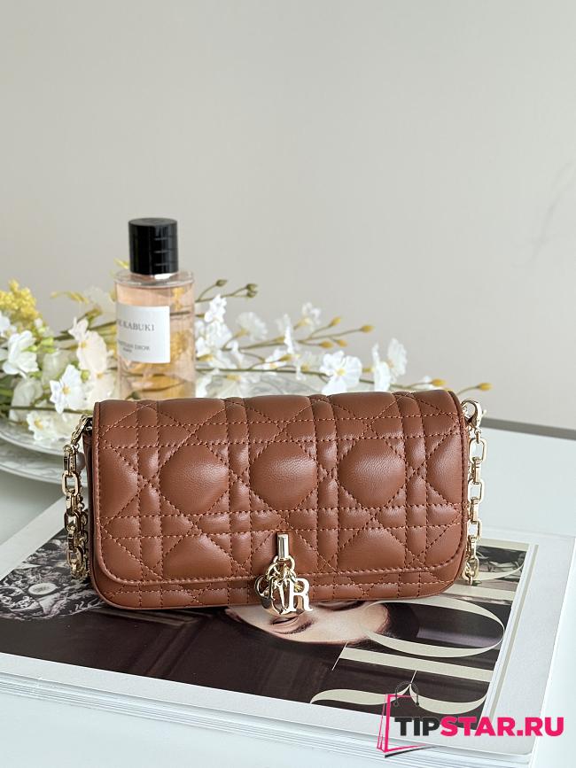 Dior Talk Phone Pouch In Caramel brow - 1