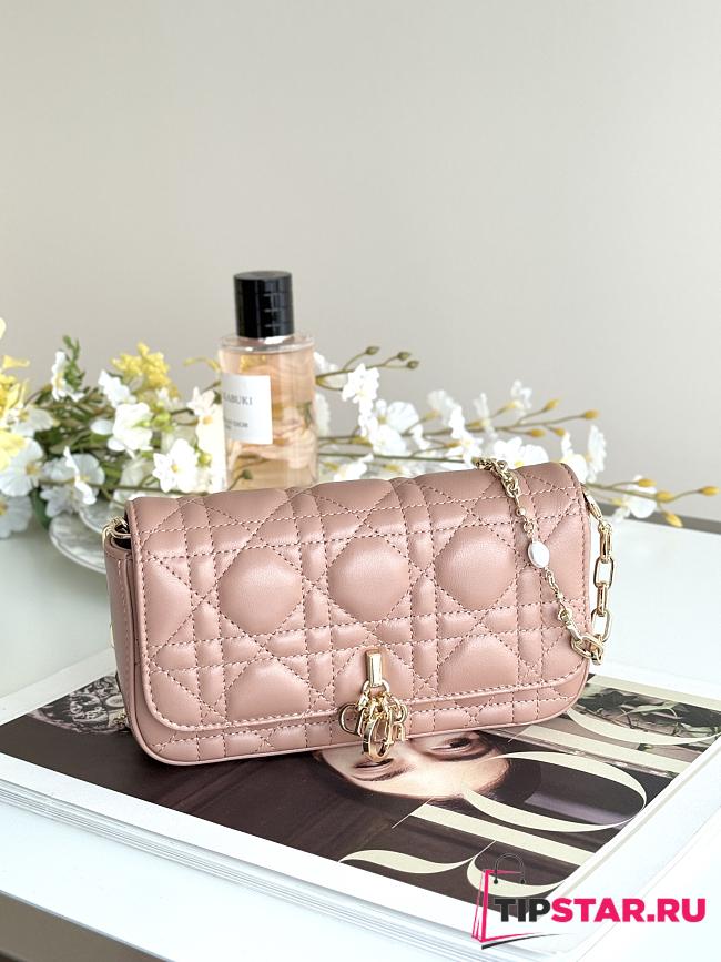 Dior Talk Phone Pouch In Dusty Pink - 1