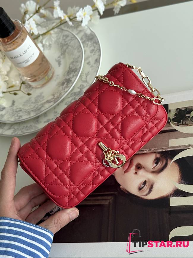 Dior Talk Phone Pouch In Red - 1