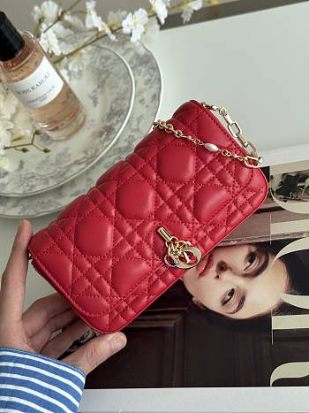 Dior Talk Phone Pouch In Red