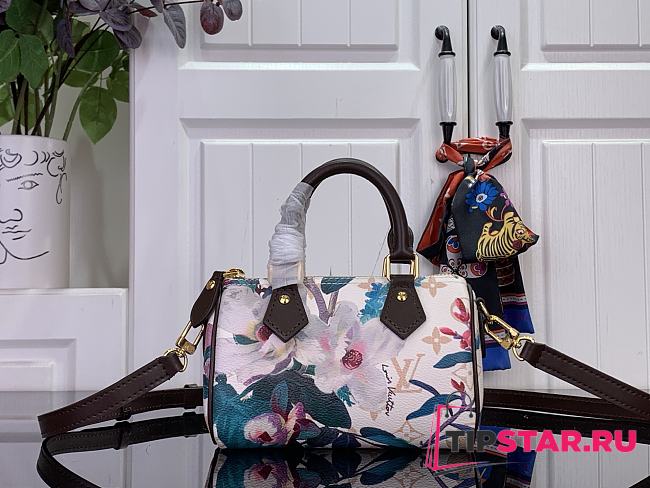 Louis Vuitton Nano Speedy Monogram Dune - 1