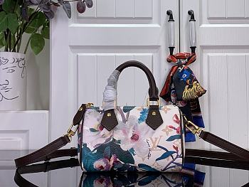 Louis Vuitton Nano Speedy Monogram Dune