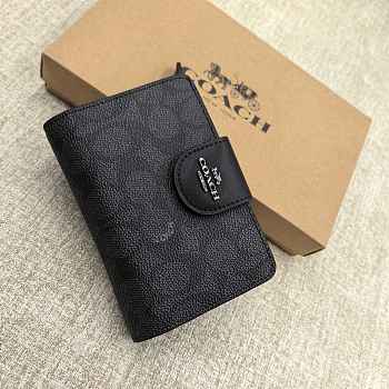 Coach Medium Corner Zip Wallet 03