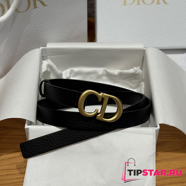 Dior 2cm Saddle Women's Belt Gold/Black - 1