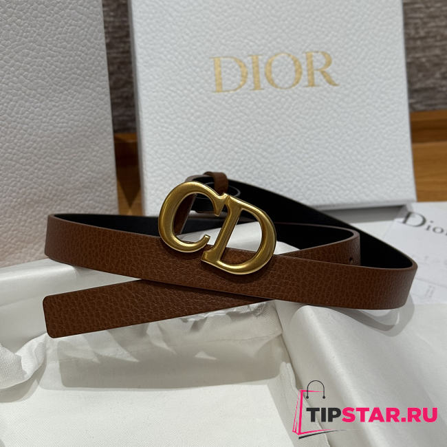 Dior 2cm Saddle Women's Belt Gold/Brown - 1