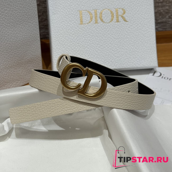 Dior 2cm Saddle Women's Belt Gold/White - 1