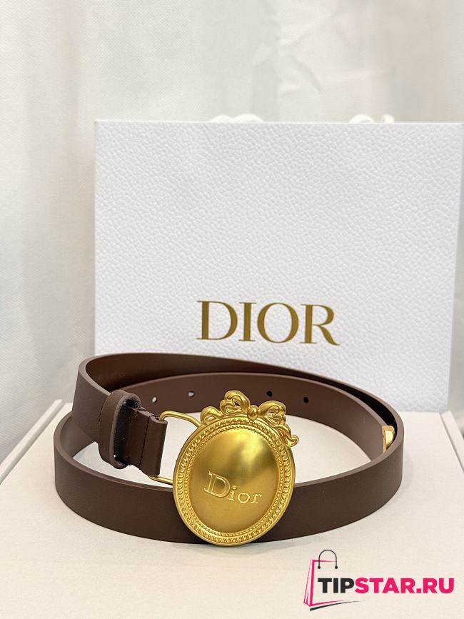 Dior Médaillon Belt 25mm Gold Buckle Chocolate Brown Smooth Calfskin - 1