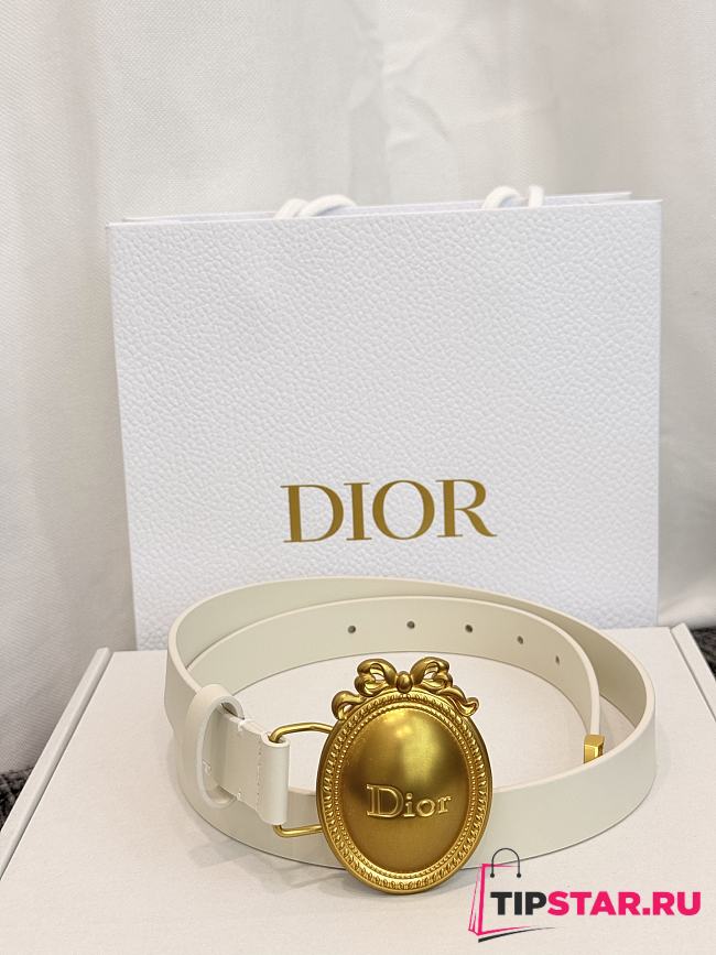 Dior Médaillon Belt 25mm Gold Buckle White Smooth Calfskin - 1