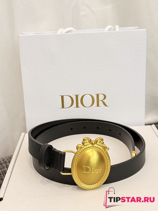 Dior Médaillon Belt 25mm Gold Buckle Black Smooth Calfskin - 1