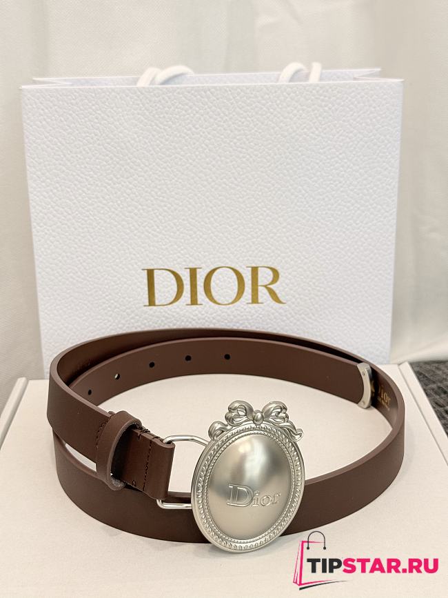 Dior Médaillon Belt 25mm Silver Buckle Chocolate Brown Smooth Calfskin - 1