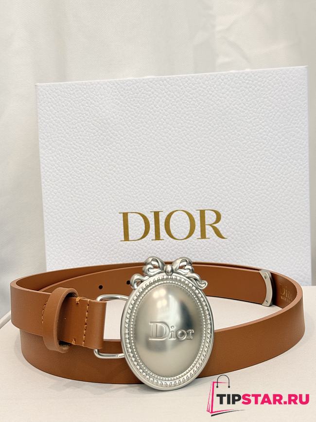 Dior Médaillon Belt 25mm Silver Buckle Brown Smooth Calfskin - 1