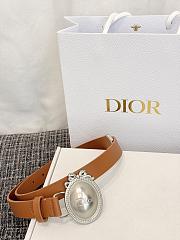 Dior Médaillon Belt 25mm Silver Buckle Brown Smooth Calfskin - 4