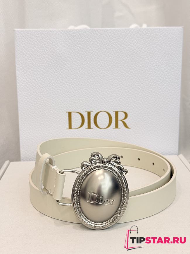 Dior Médaillon Belt 25mm Silver Buckle White Smooth Calfskin - 1