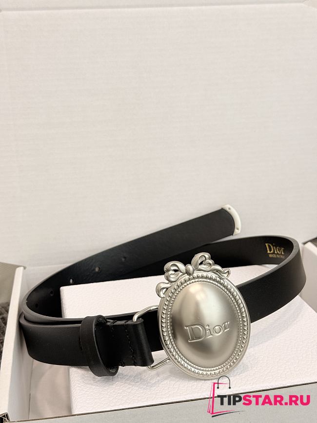Dior Médaillon Belt 25mm Silver Buckle Black Smooth Calfskin - 1