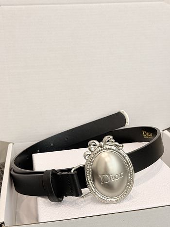 Dior Médaillon Belt 25mm Silver Buckle Black Smooth Calfskin