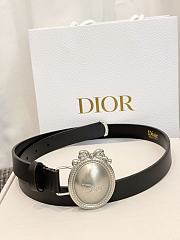 Dior Médaillon Belt 25mm Silver Buckle Black Smooth Calfskin - 6