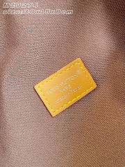 Louis Vuitton Rush Bumbag Monogram Surplus - 4