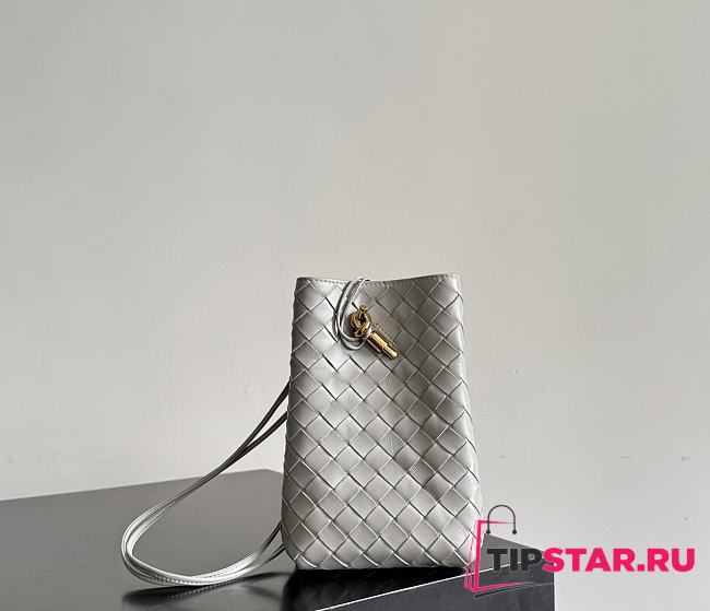 Bottega Veneta Andiamo Phone Pouch Sterling - 1
