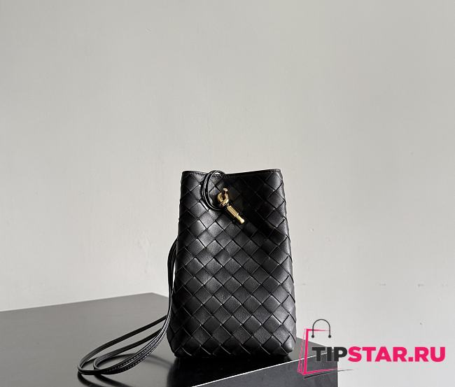 Bottega Veneta Andiamo Phone Pouch Black - 1