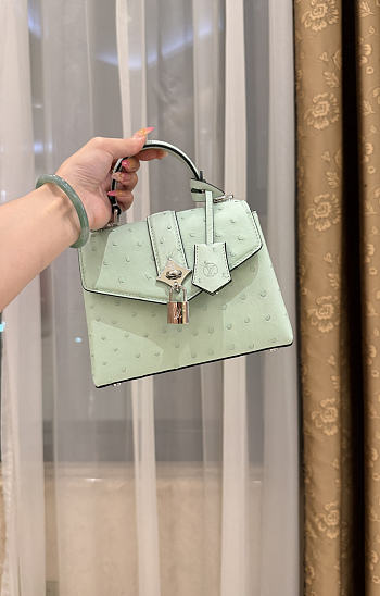 Louis Vuitton Ostrich Rose Des Vents Mini Mint
