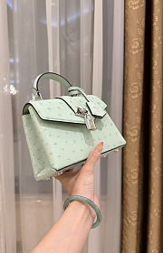 Louis Vuitton Ostrich Rose Des Vents Mini Mint - 5
