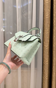 Louis Vuitton Ostrich Rose Des Vents Mini Mint - 4