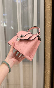 Louis Vuitton Ostrich Rose Des Vents Mini Pink - 6
