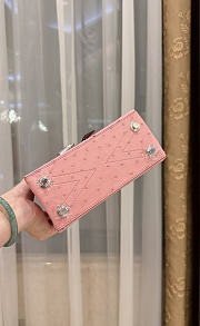 Louis Vuitton Ostrich Rose Des Vents Mini Pink - 5