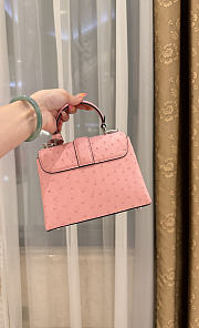 Louis Vuitton Ostrich Rose Des Vents Mini Pink - 4
