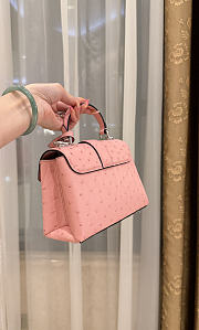 Louis Vuitton Ostrich Rose Des Vents Mini Pink - 2